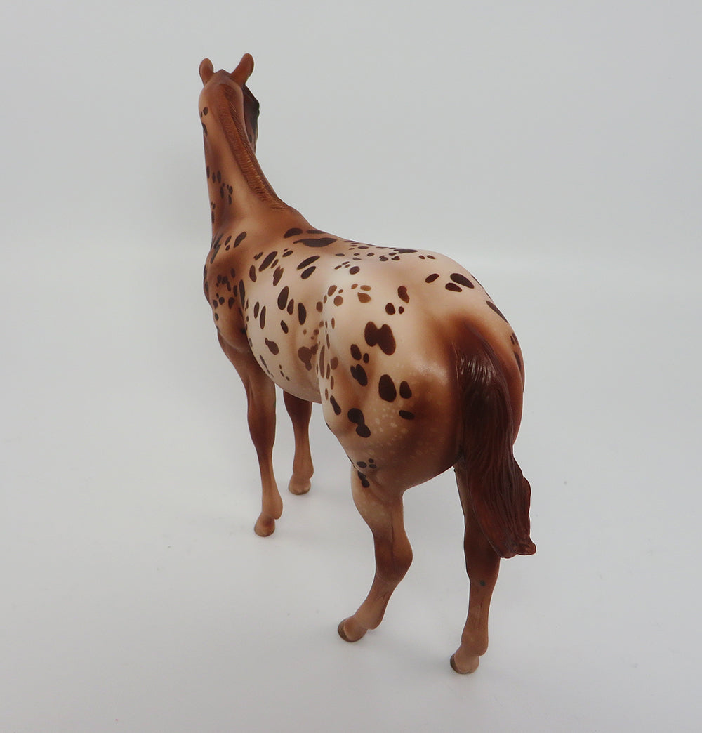 Appaloosa