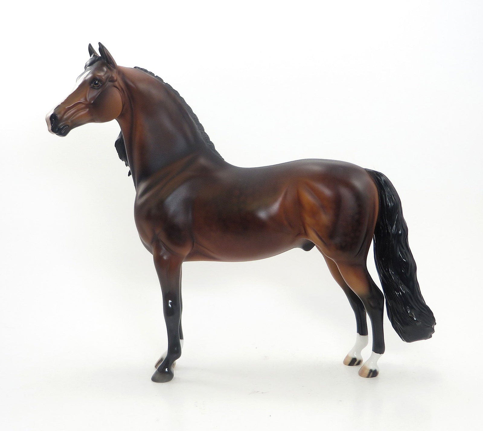 SILENT BAY- OOAK Dapple Bay Morgan 8/7