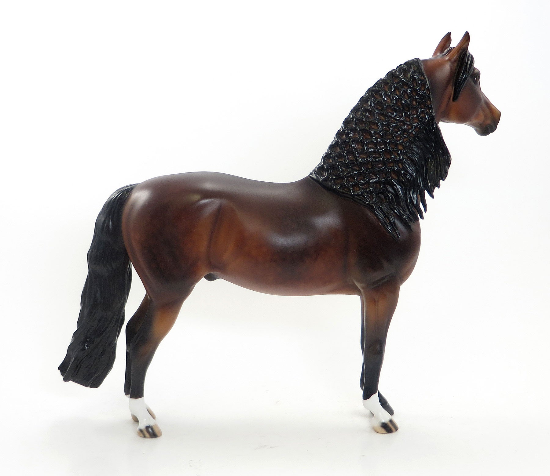 SILENT BAY- OOAK Dapple Bay Morgan 8/7