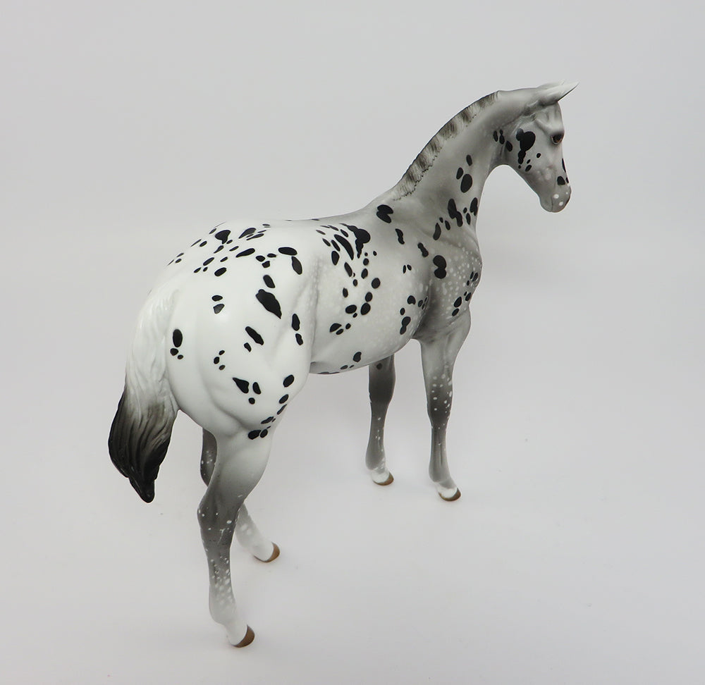 Appaloosa