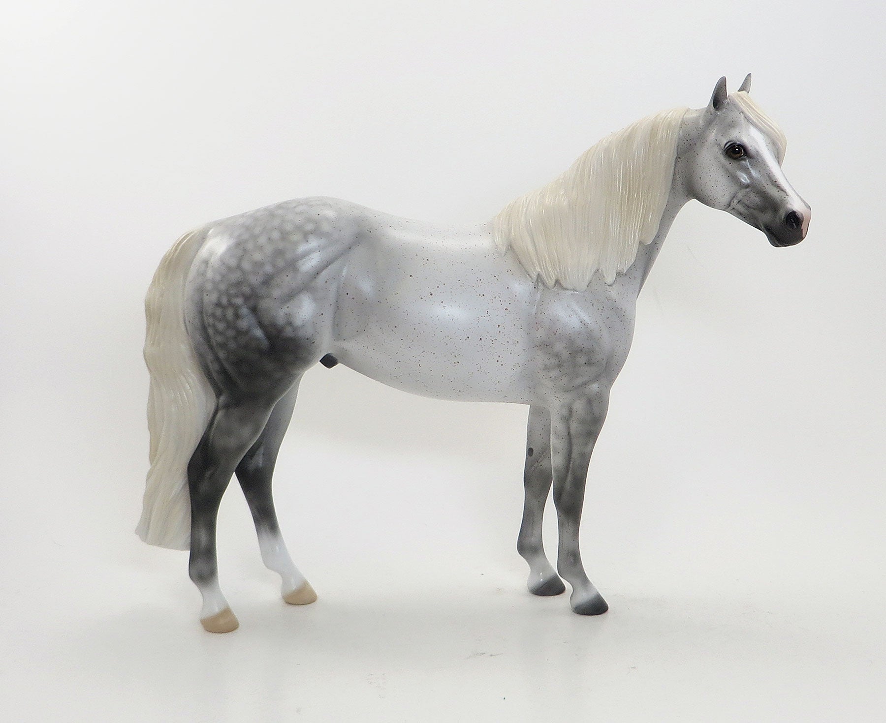 GLOTRON - OOAK Dapple Grey Flea Bitten Stock Horse 8/7