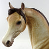 arabian