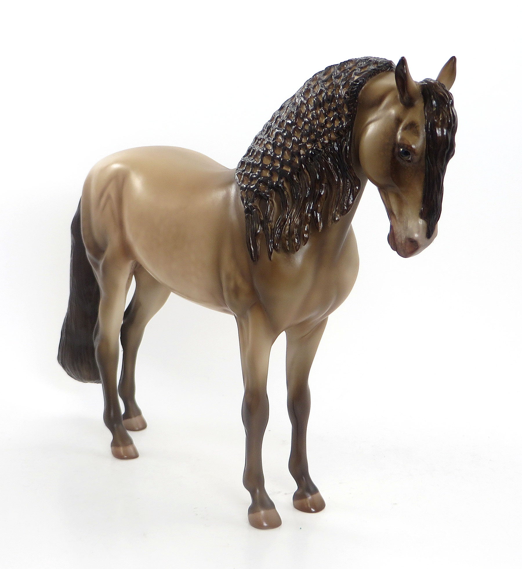 BOMB PROOF - OOAK Dapple Champagne Iberian 8/7