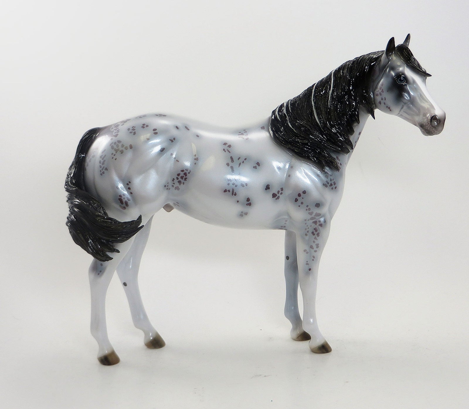 MAXIMUM IMPULSE - OOAK Blue Roan Appaloosa Stock Horse 8/7
