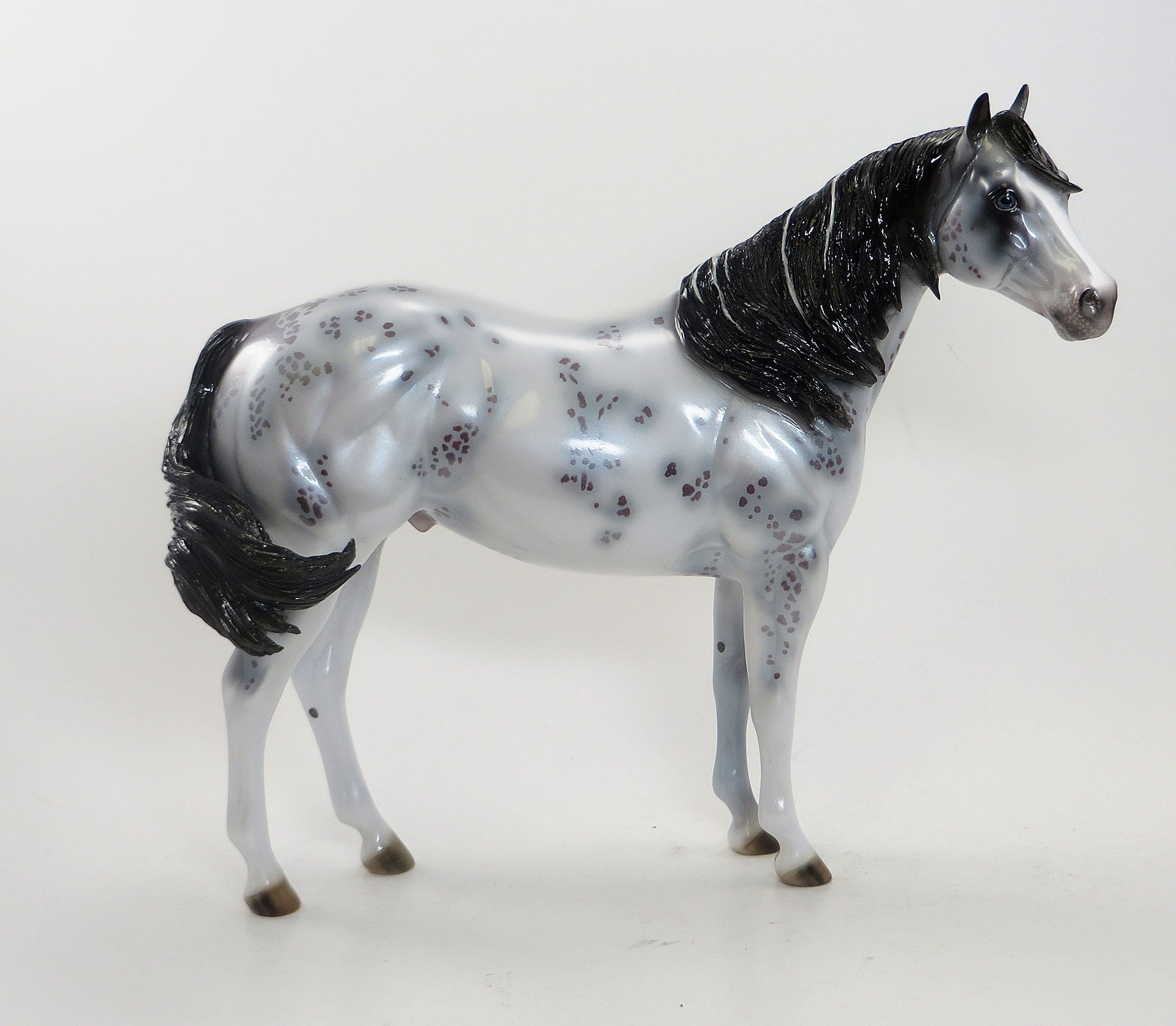 MAXIMUM IMPULSE - OOAK Blue Roan Appaloosa Stock Horse 8/7