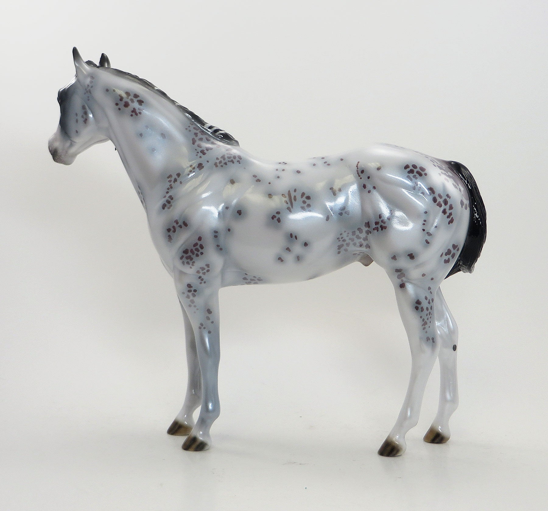 MAXIMUM IMPULSE - OOAK Blue Roan Appaloosa Stock Horse 8/7