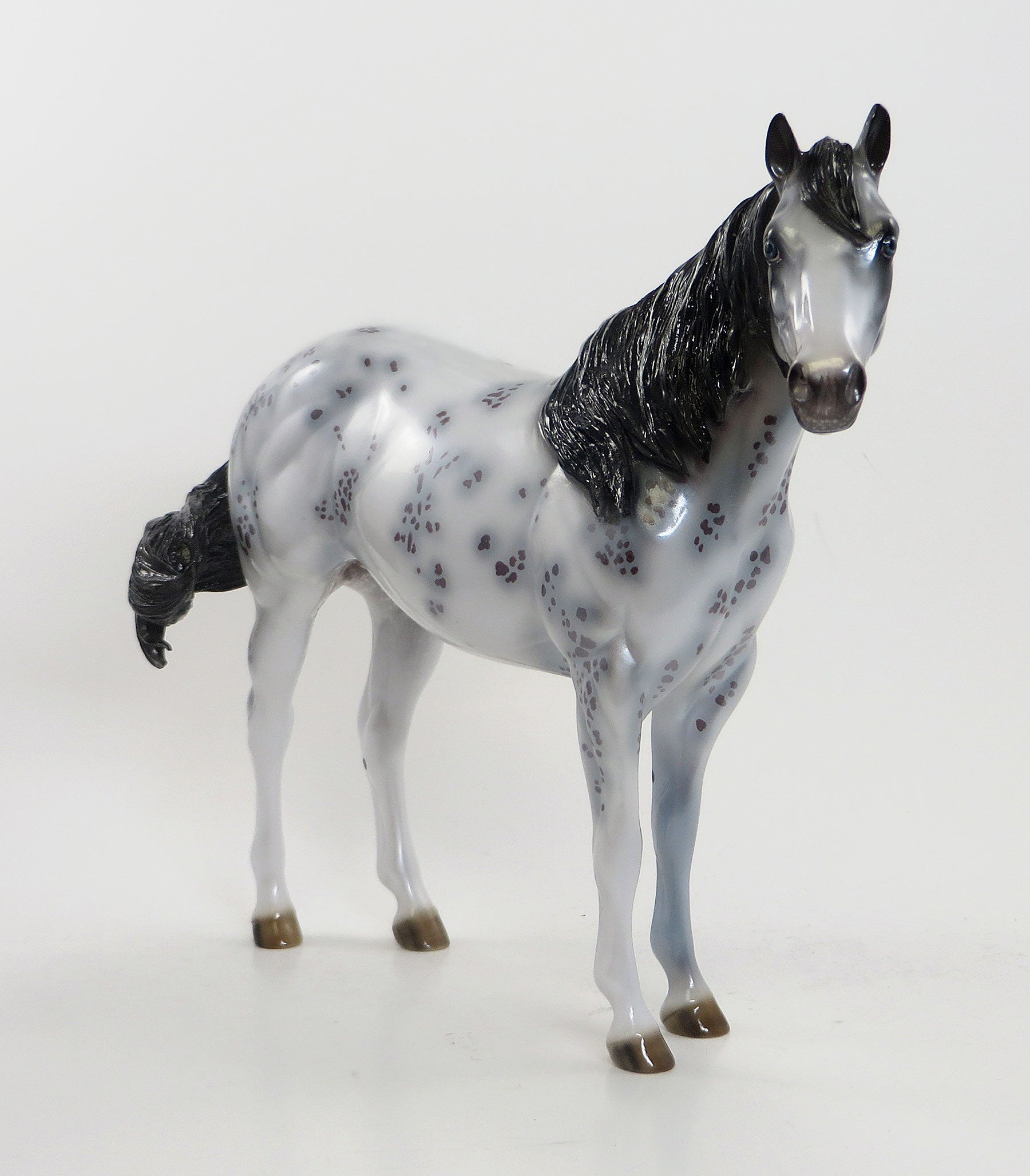 MAXIMUM IMPULSE - OOAK Blue Roan Appaloosa Stock Horse 8/7