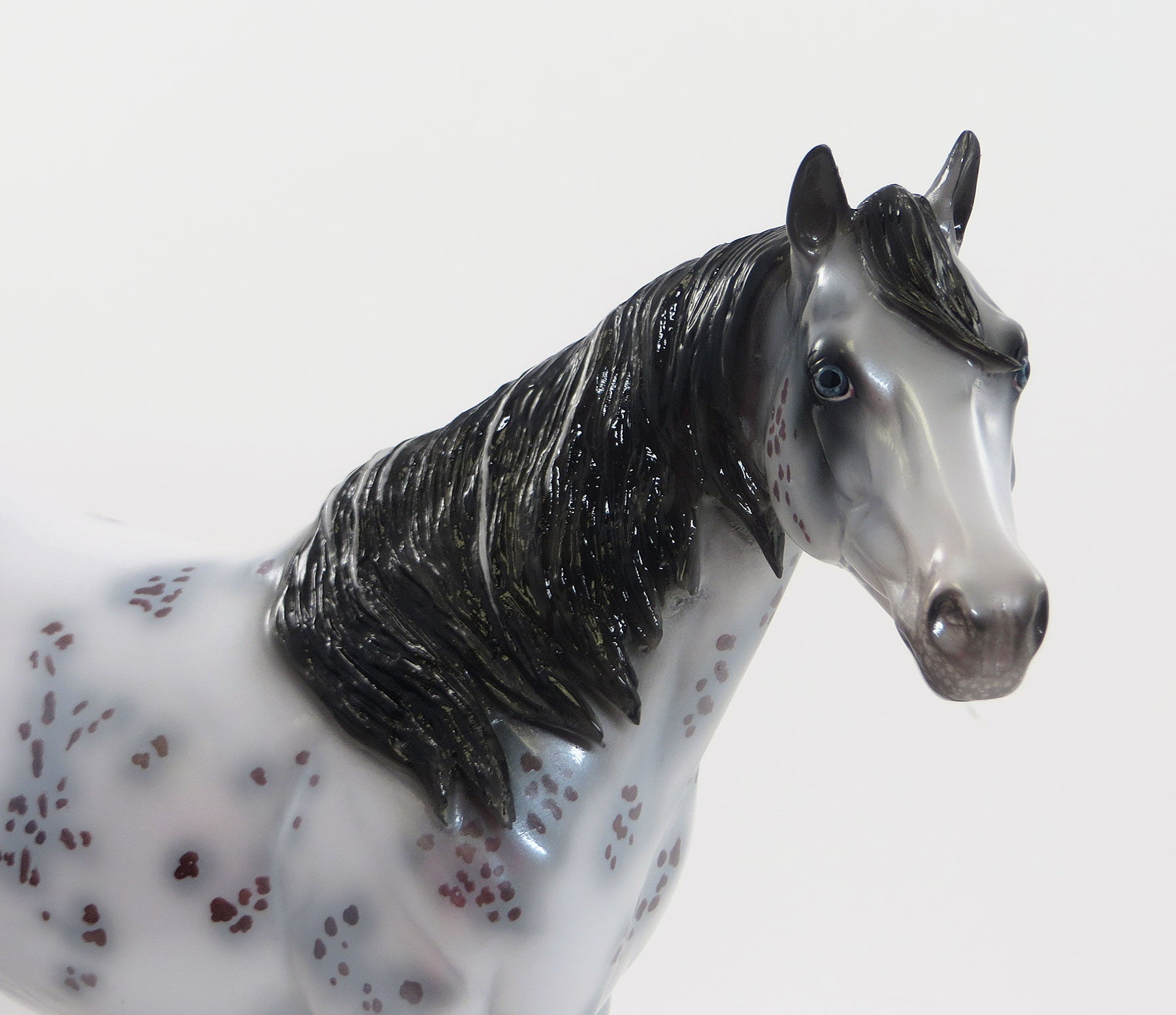 MAXIMUM IMPULSE - OOAK Blue Roan Appaloosa Stock Horse 8/7