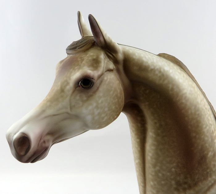 ASTORIA-OOAK CHESTNUT GOING GREY ARABIAN MODEL HORSE BY ALLEN KATT 10/28/16