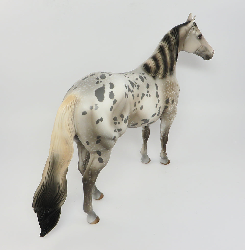 Appaloosa