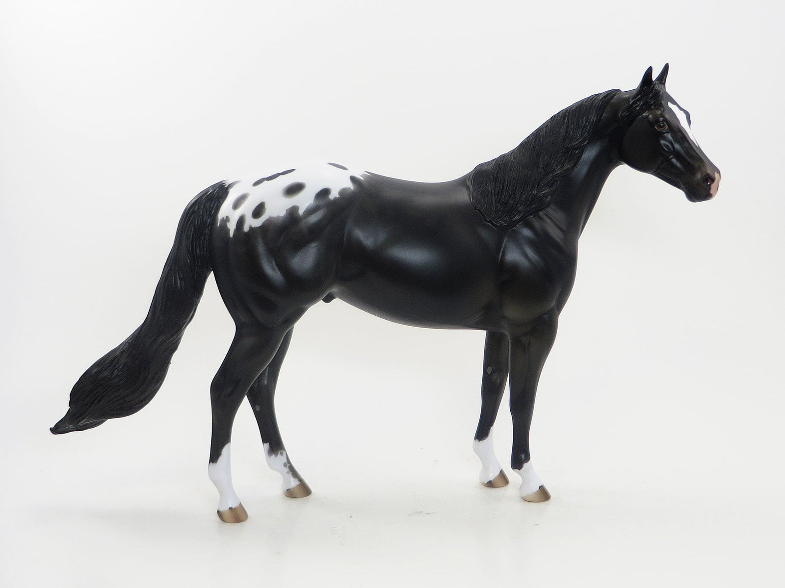 REIN MASTER - OOAK Black Appaloosa Stock Horse 8/7