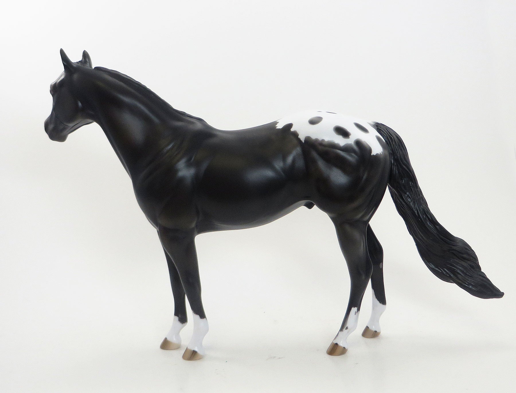 REIN MASTER - OOAK Black Appaloosa Stock Horse 8/7