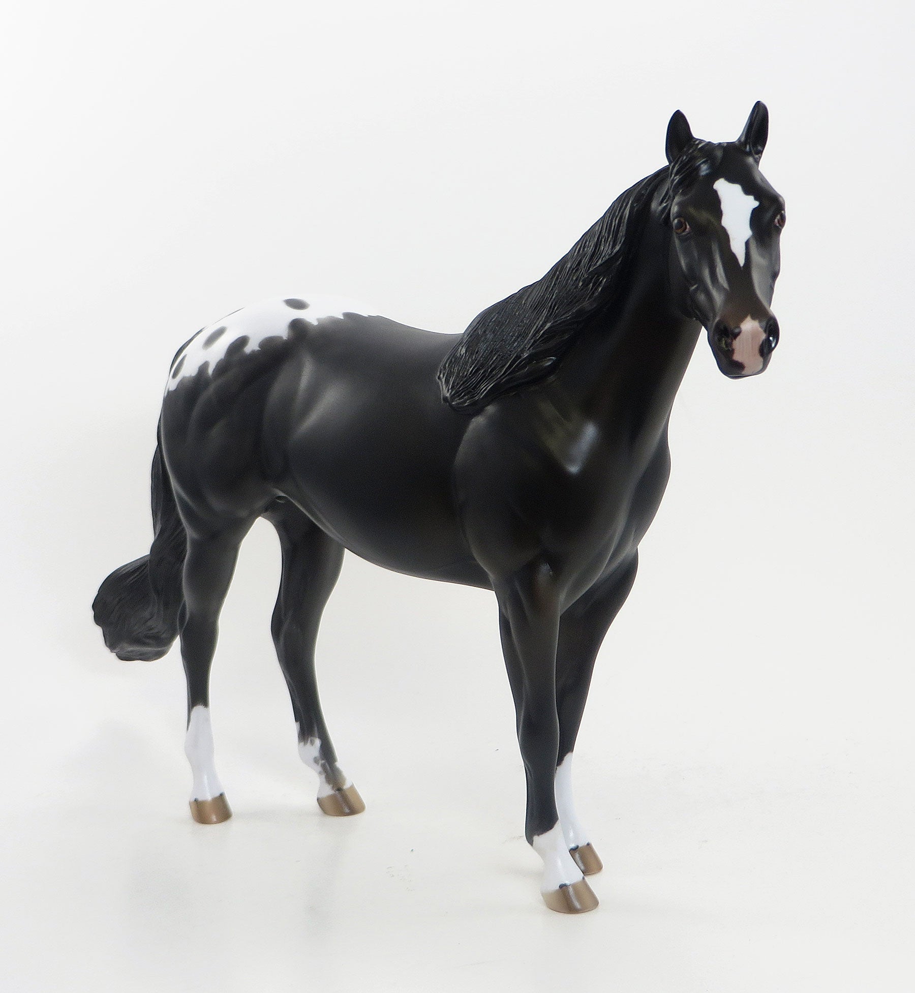 REIN MASTER - OOAK Black Appaloosa Stock Horse 8/7