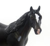 REIN MASTER - OOAK Black Appaloosa Stock Horse 8/7