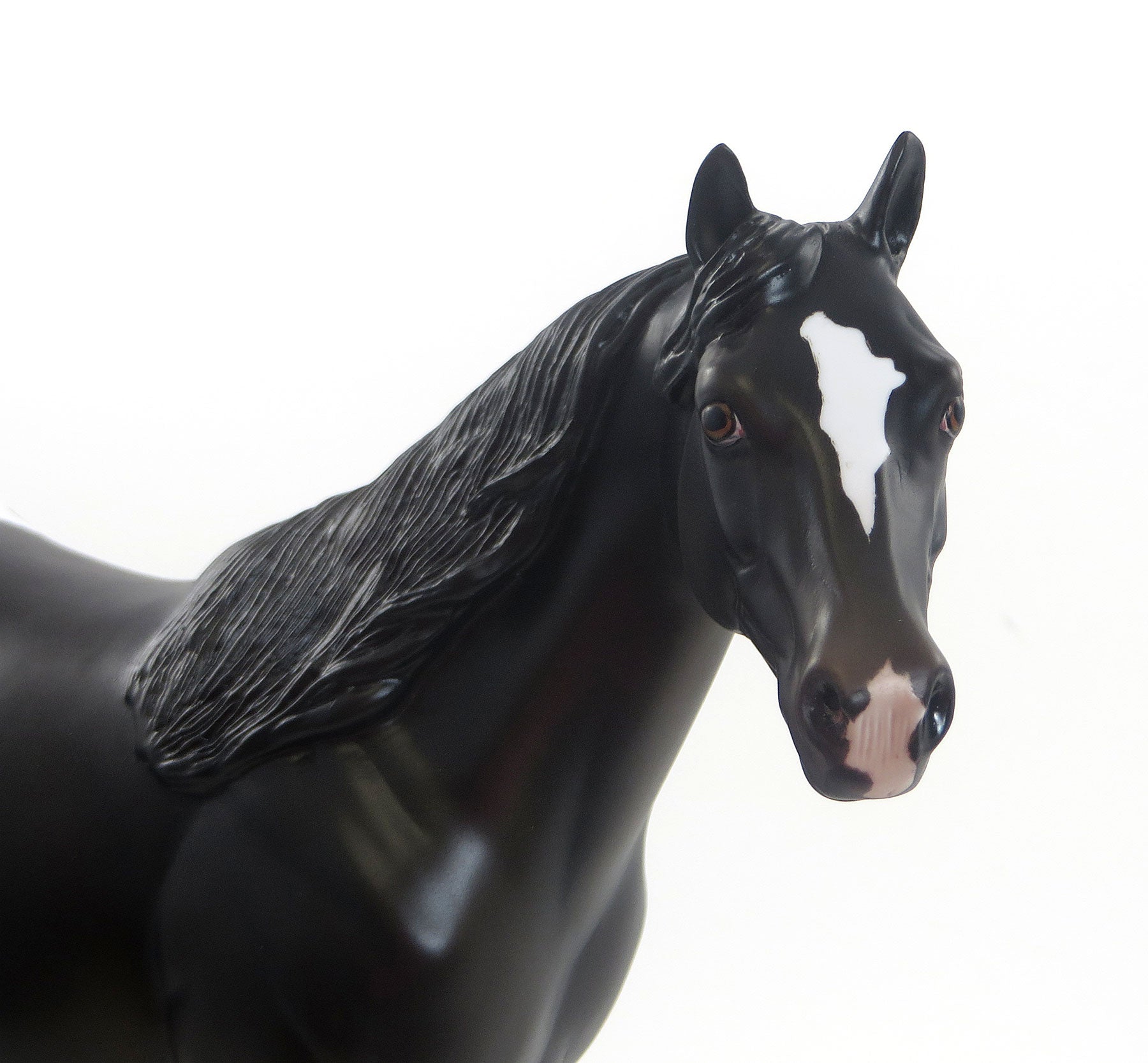 REIN MASTER - OOAK Black Appaloosa Stock Horse 8/7
