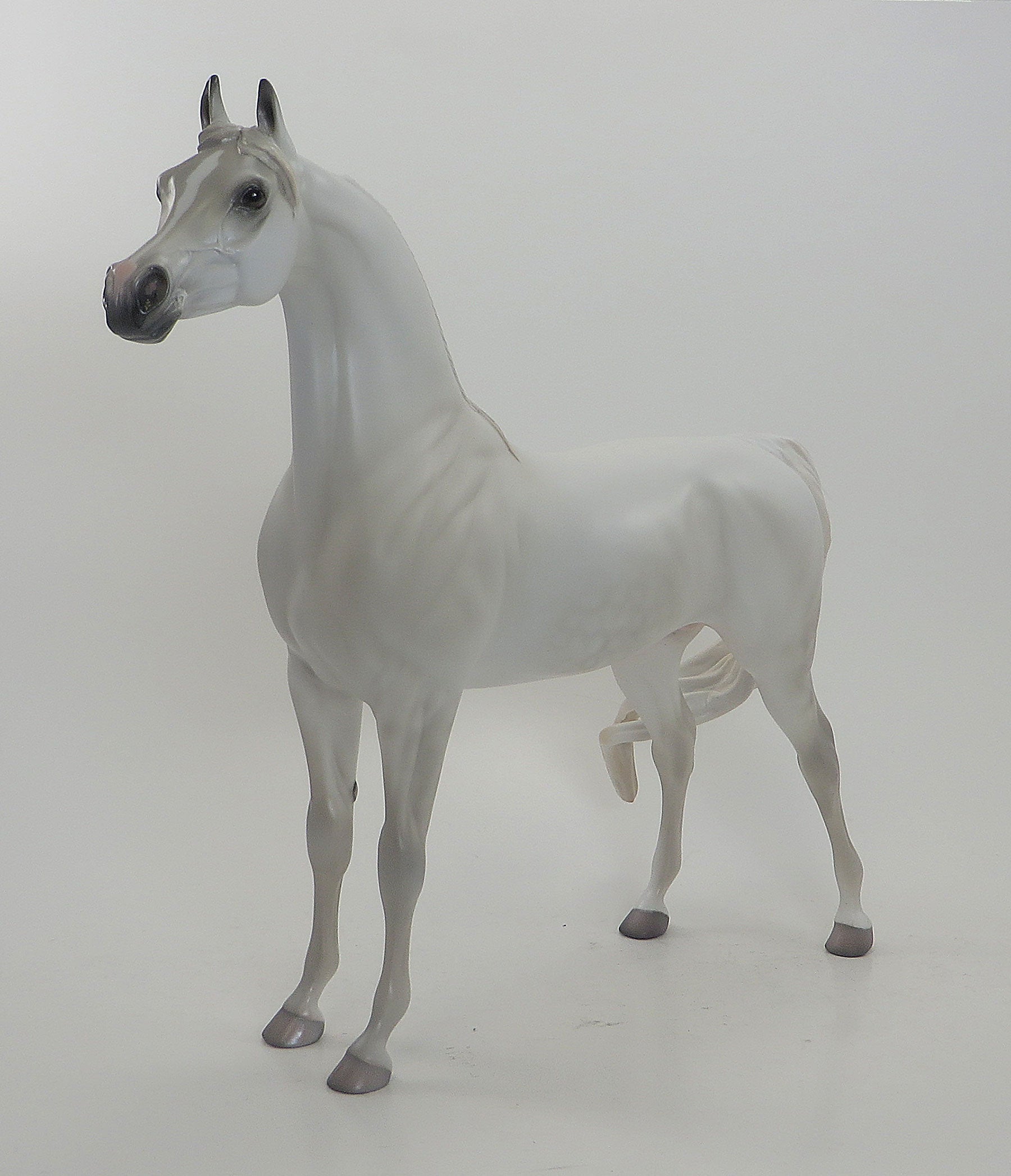 MOZART&quot;S HIGH NOTE - OOAK Dappled White Arabian 8/7