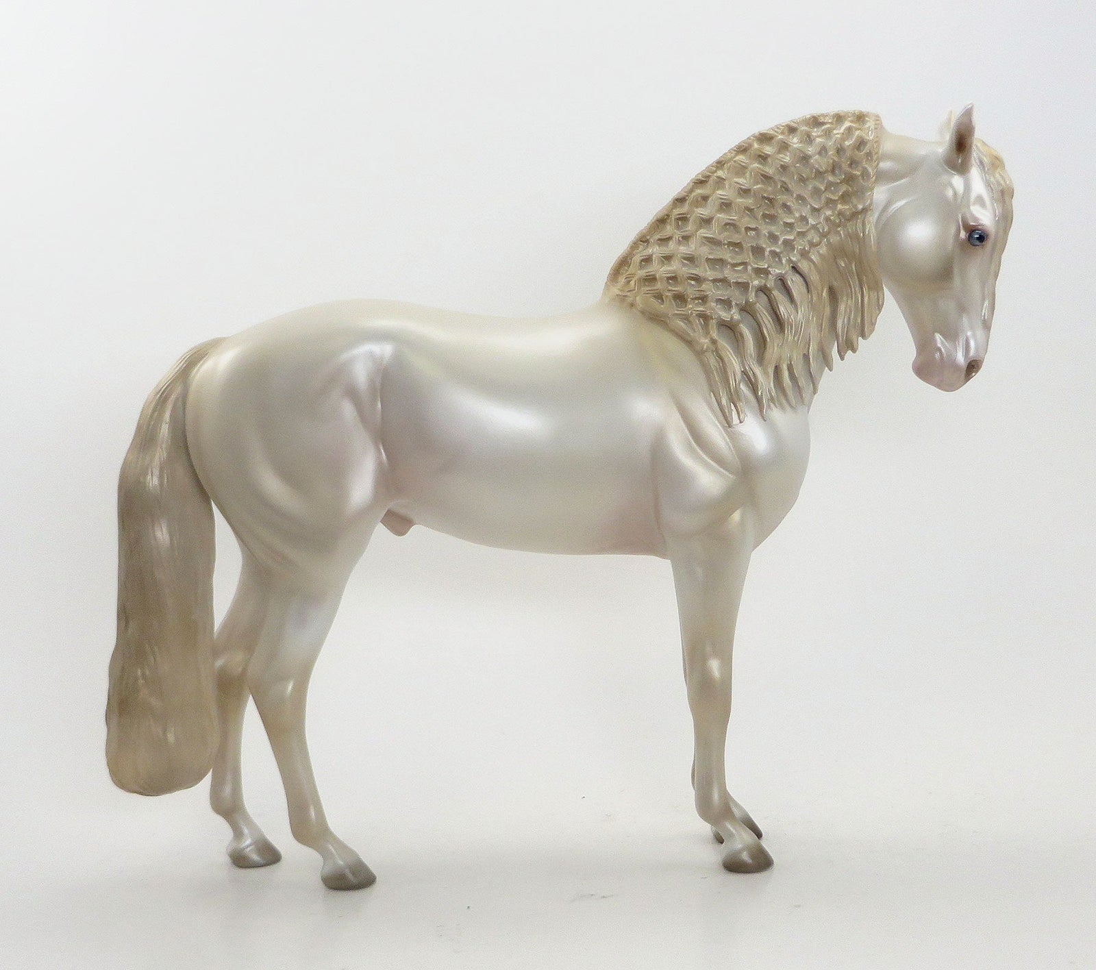 MAJOR FLY BY - OOAK Perlino Iberian 8/7