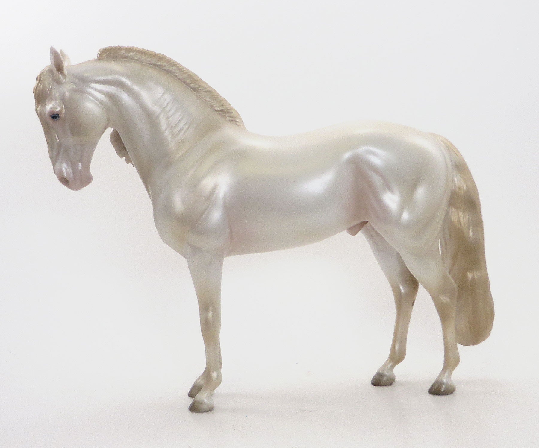 MAJOR FLY BY - OOAK Perlino Iberian 8/7