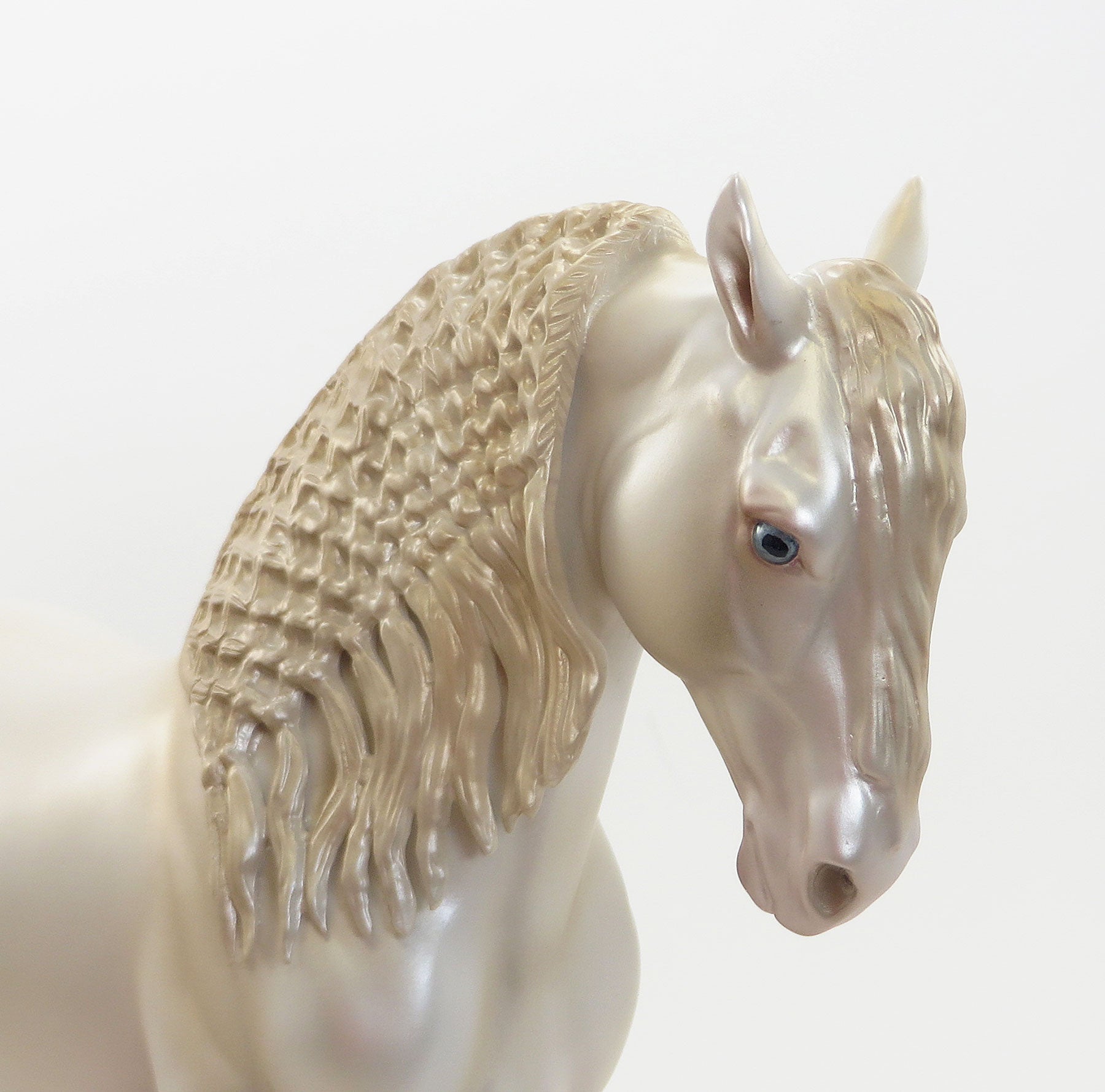 MAJOR FLY BY - OOAK Perlino Iberian 8/7