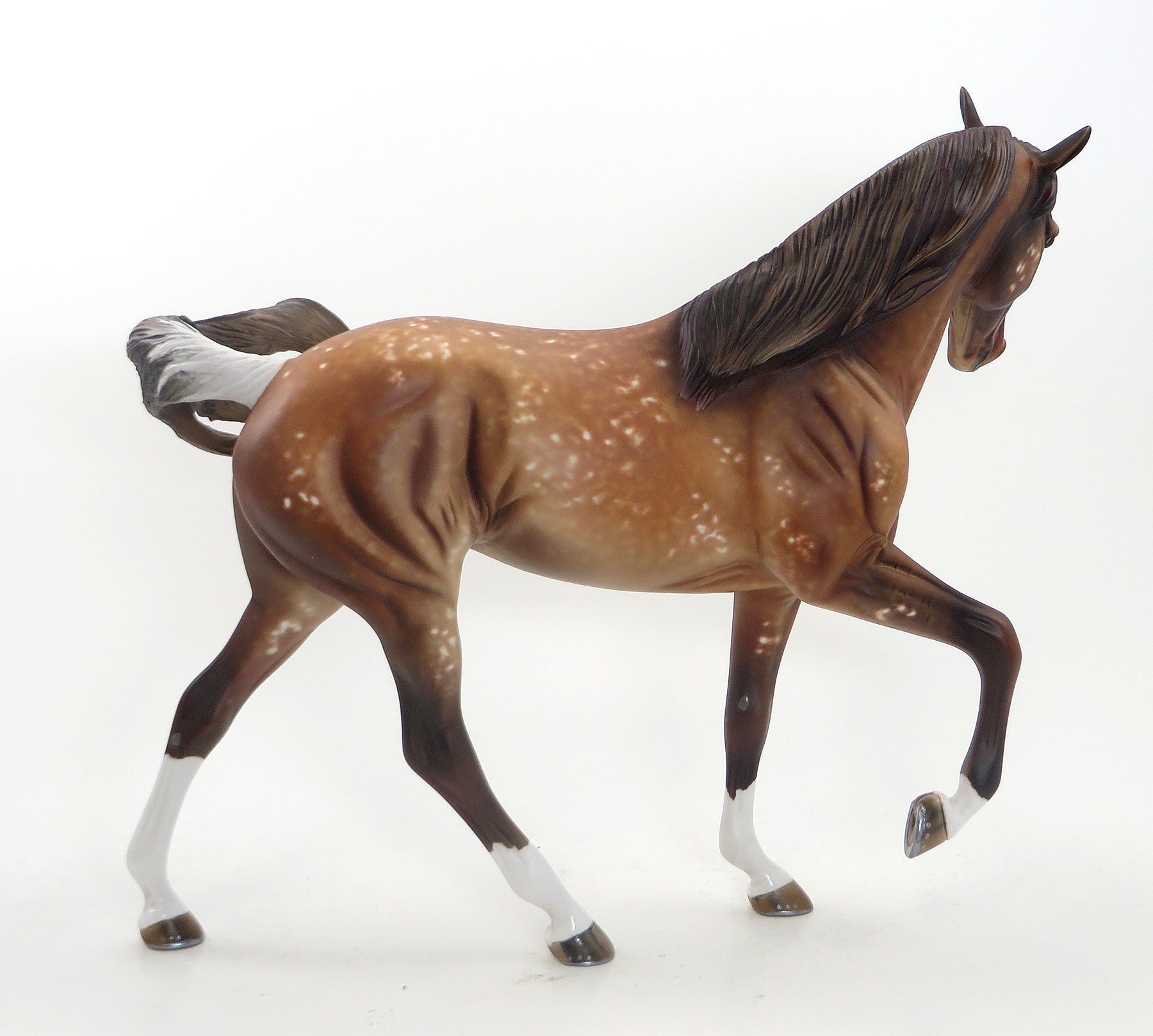 DAKOTAS DESIRE - OOAK Chestnut Appaloosa Tennessee Walker Mare Model Horse - 8/7