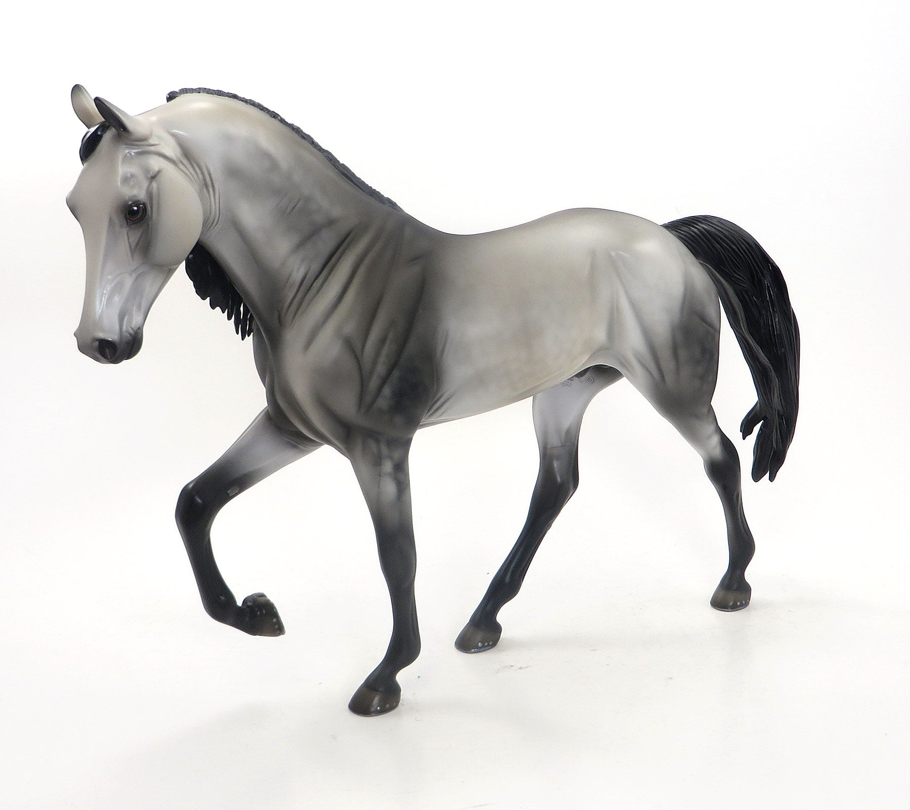 NATIVE ZIP - OOAK Dapple Grey Tennessee Walker 8/7