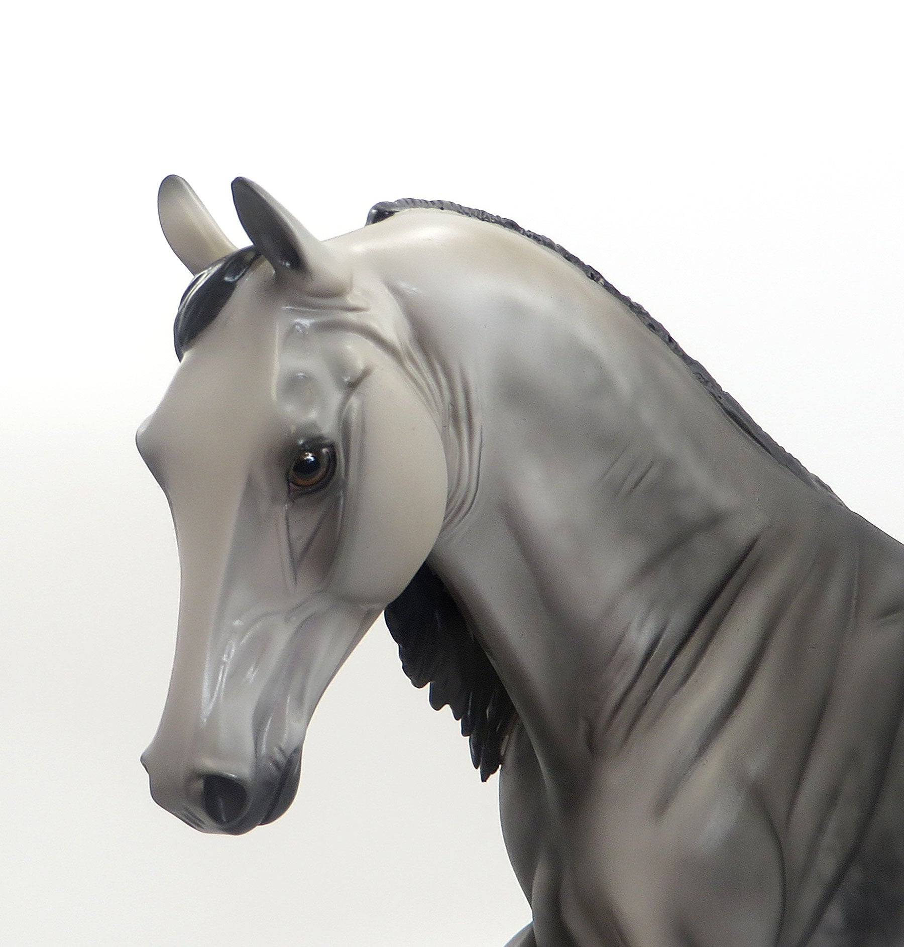 NATIVE ZIP - OOAK Dapple Grey Tennessee Walker 8/7