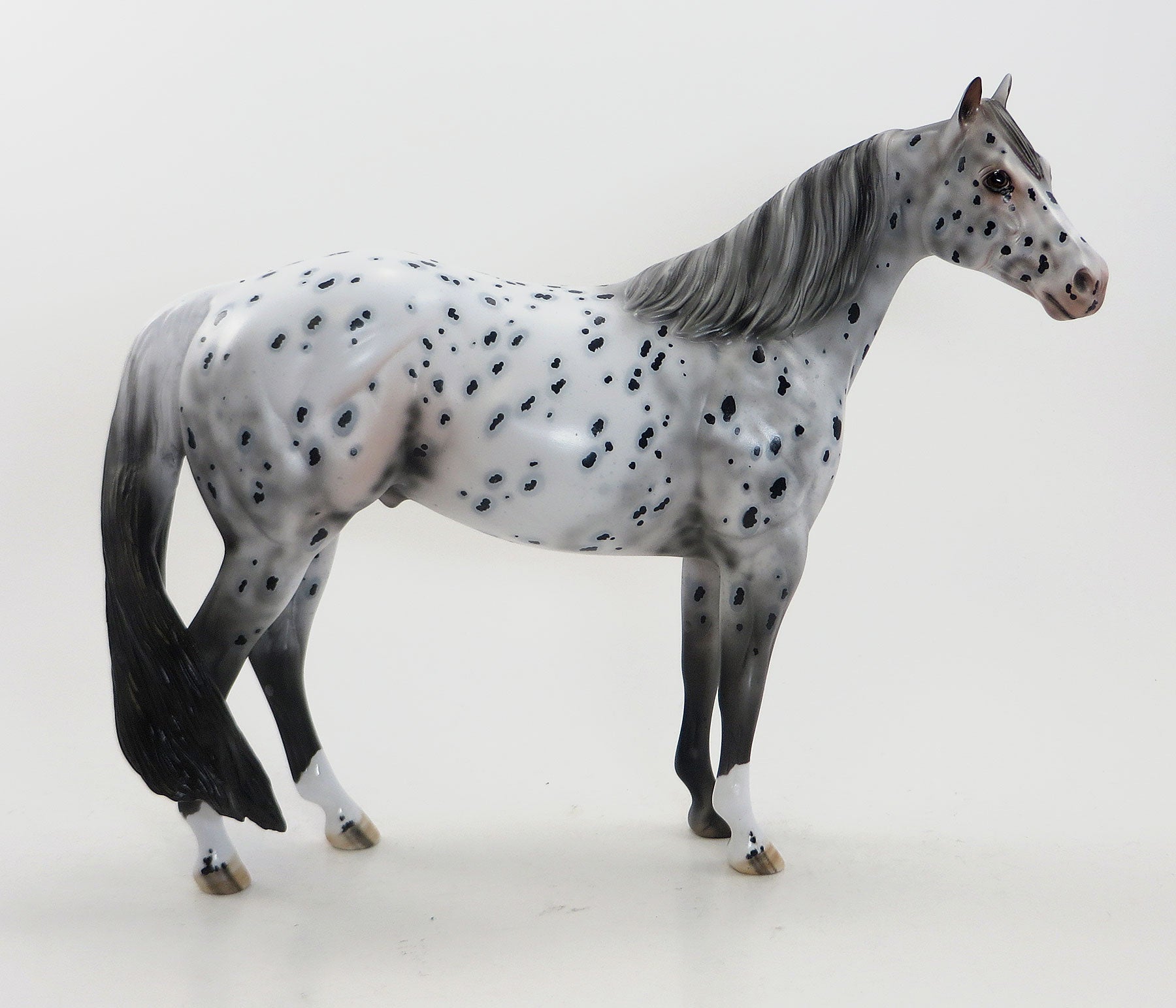 DIAMOND DAZE- OOAK Leopard Appaloosa Stock Horse &amp; RING POP - OOAK Leopard Appaloosa Weanling (Sold Together)