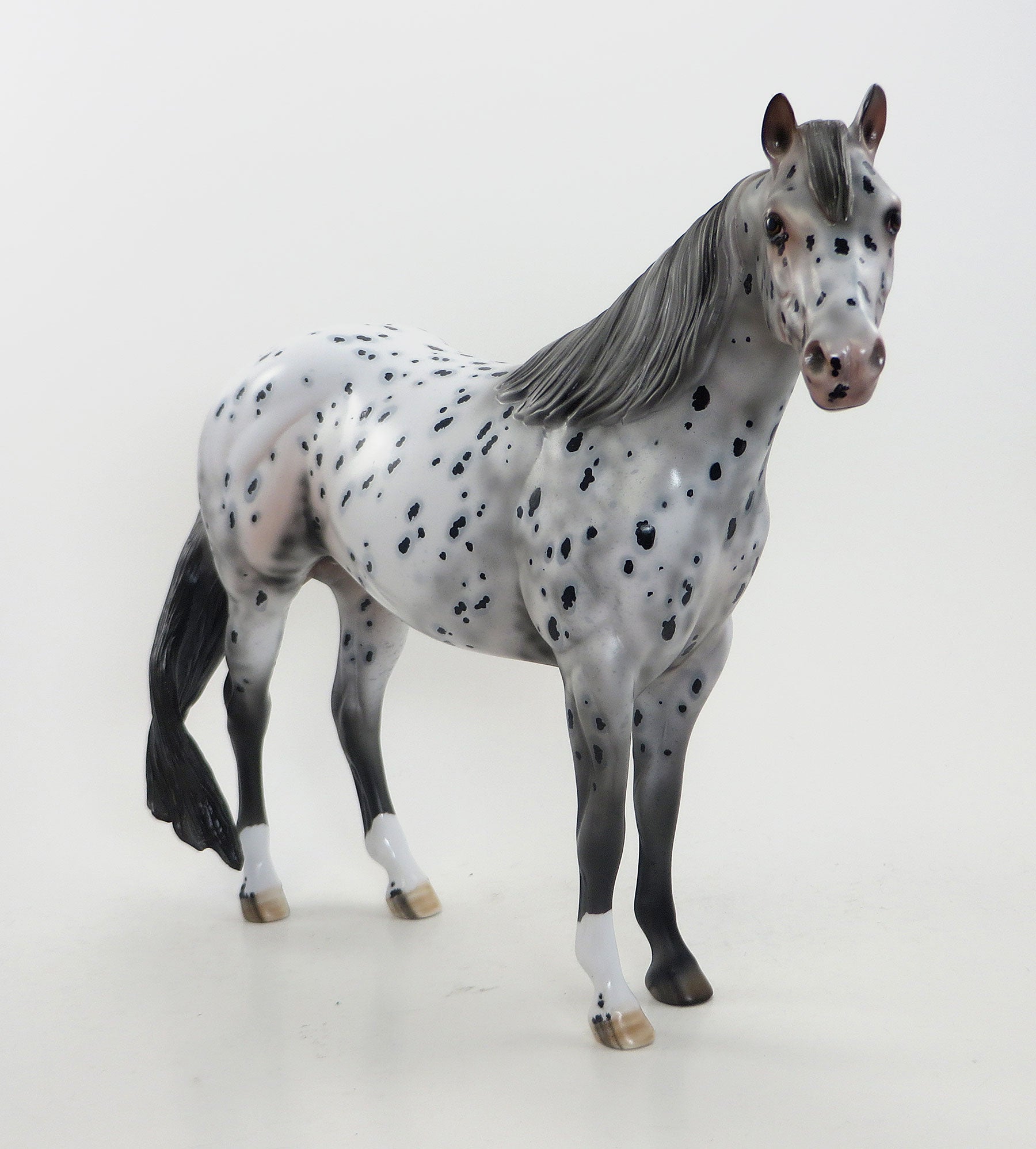 DIAMOND DAZE- OOAK Leopard Appaloosa Stock Horse &amp; RING POP - OOAK Leopard Appaloosa Weanling (Sold Together)