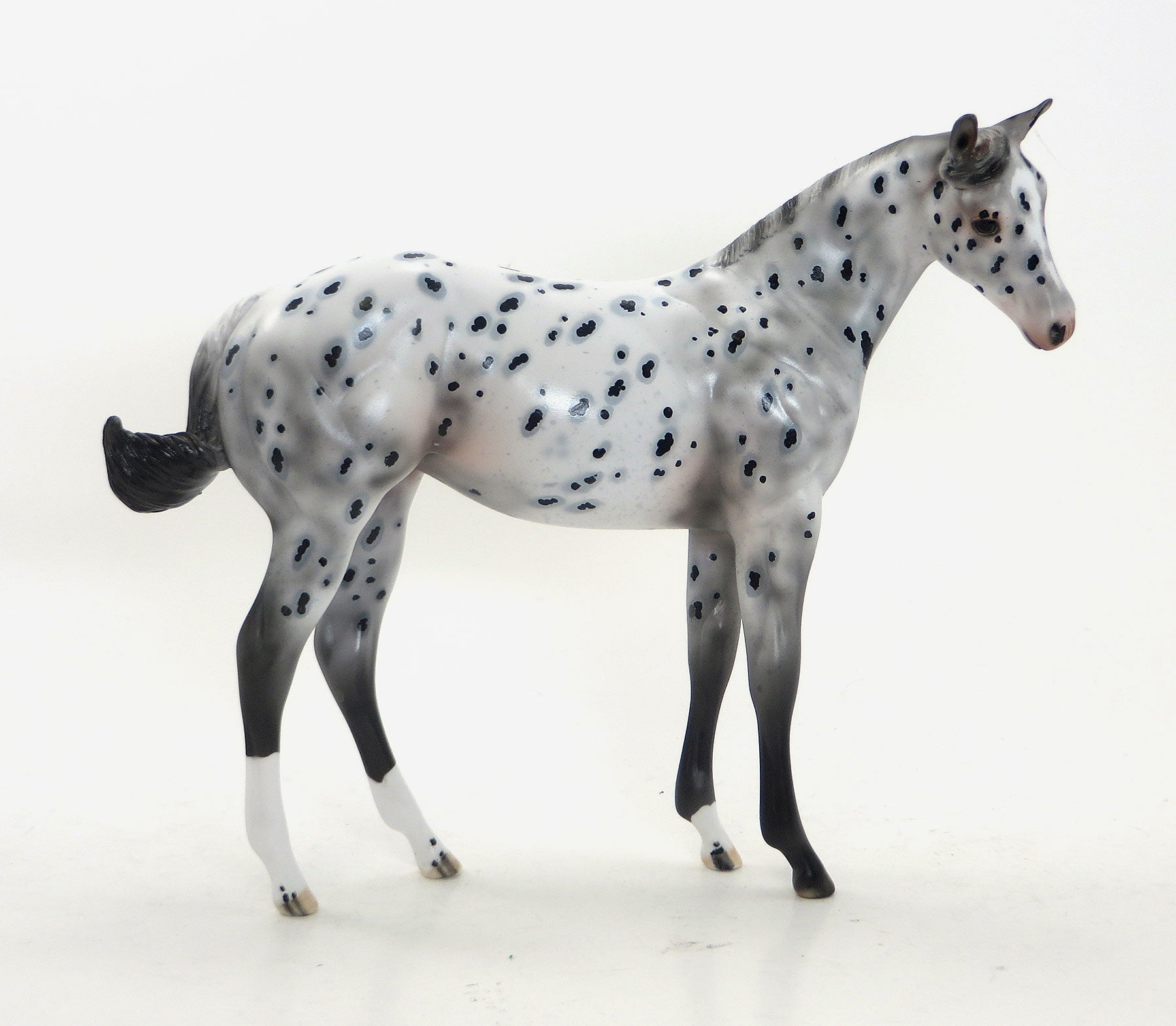 DIAMOND DAZE- OOAK Leopard Appaloosa Stock Horse &amp; RING POP - OOAK Leopard Appaloosa Weanling (Sold Together)
