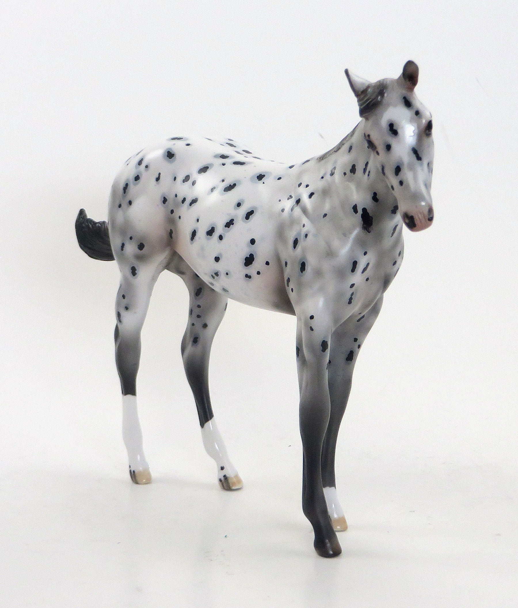 DIAMOND DAZE- OOAK Leopard Appaloosa Stock Horse &amp; RING POP - OOAK Leopard Appaloosa Weanling (Sold Together)
