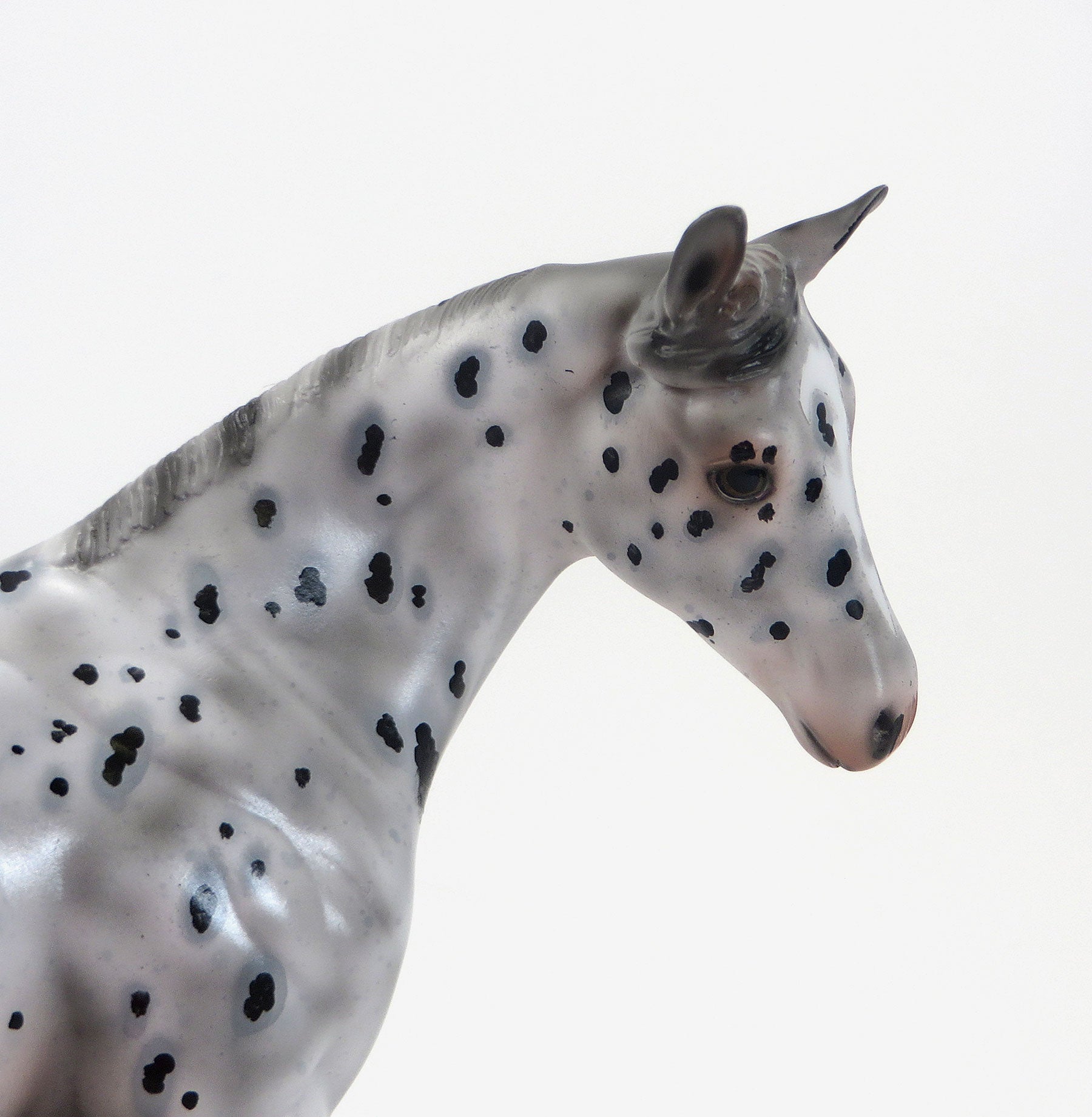 DIAMOND DAZE- OOAK Leopard Appaloosa Stock Horse &amp; RING POP - OOAK Leopard Appaloosa Weanling (Sold Together)