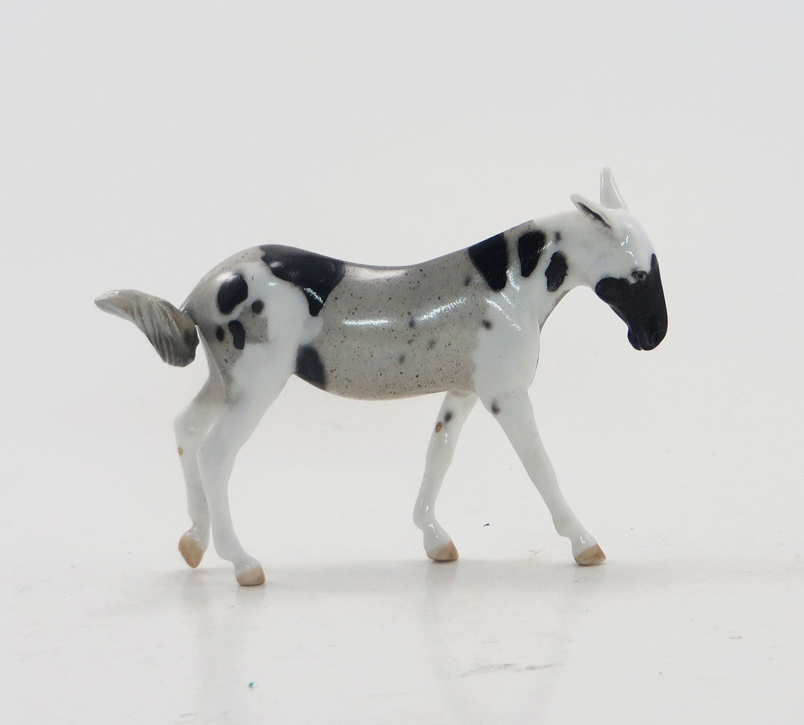 KABOOM - OOAK Party Color Pinto Mule Chip - 4/15