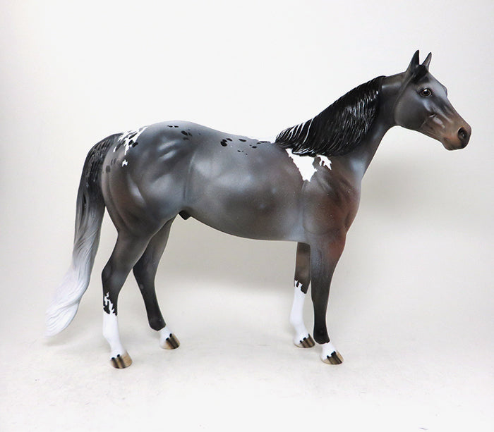 MADISON-OOAK BAY ROAN PINTALOOSA  ISH MODEL HORSE 5/12