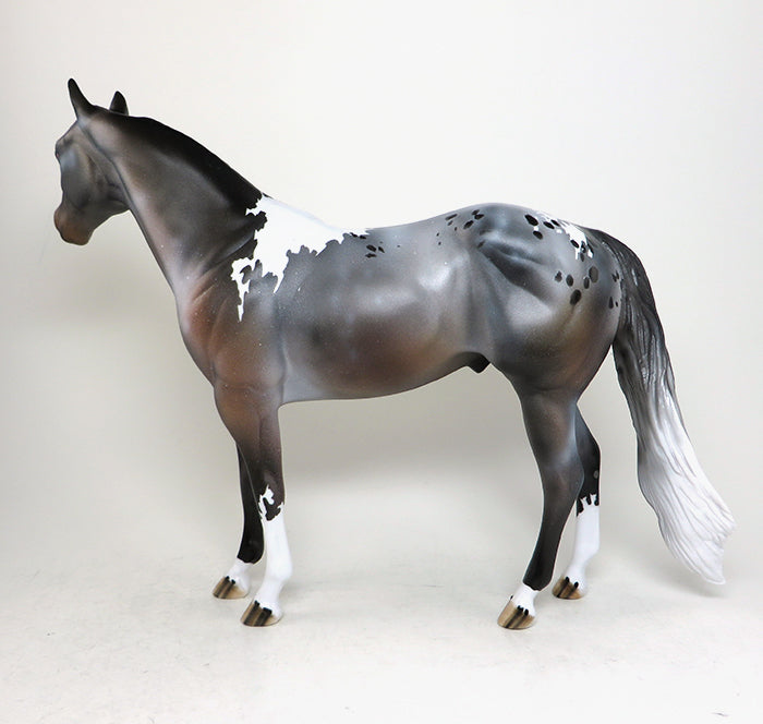 MADISON-OOAK BAY ROAN PINTALOOSA  ISH MODEL HORSE 5/12