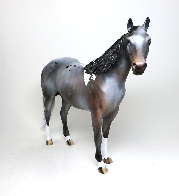 MADISON-OOAK BAY ROAN PINTALOOSA  ISH MODEL HORSE 5/12
