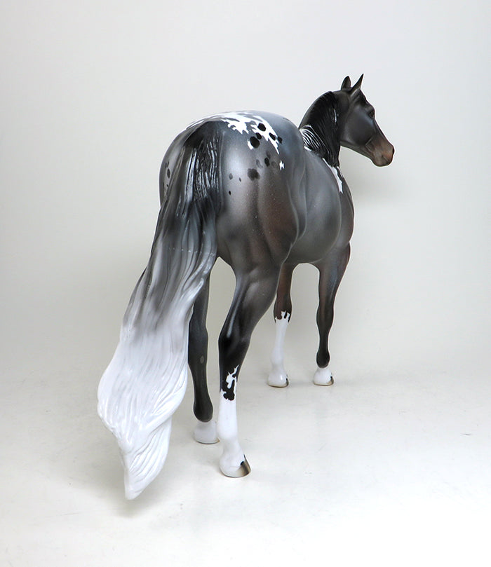 MADISON-OOAK BAY ROAN PINTALOOSA  ISH MODEL HORSE 5/12