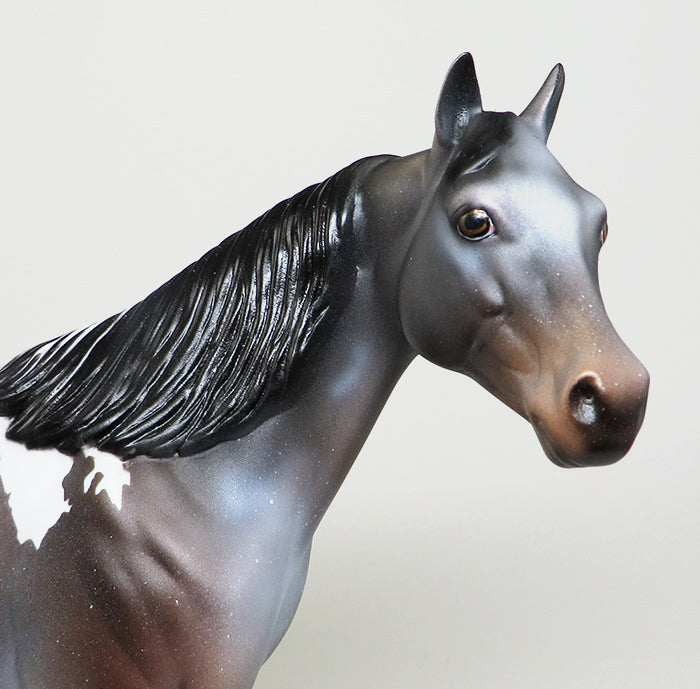 MADISON-OOAK BAY ROAN PINTALOOSA  ISH MODEL HORSE 5/12