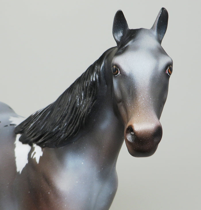 MADISON-OOAK BAY ROAN PINTALOOSA  ISH MODEL HORSE 5/12