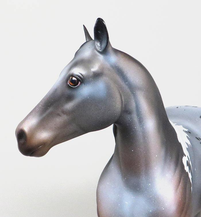 MADISON-OOAK BAY ROAN PINTALOOSA  ISH MODEL HORSE 5/12