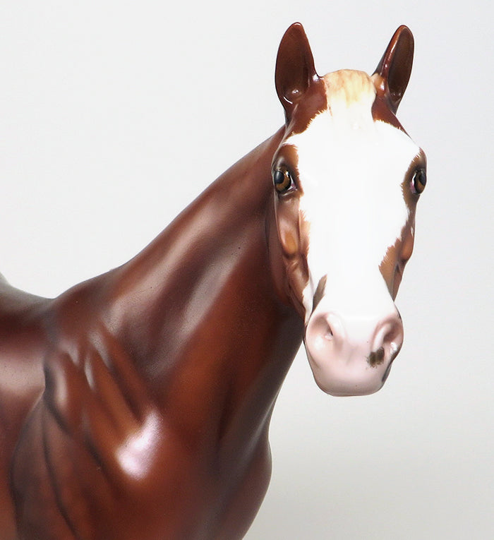 PLUMB SMART-OOAK CHESTNUT ISH MODEL HORSE BY SHERYL LEISURE 5/12
