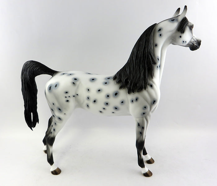 appaloosa