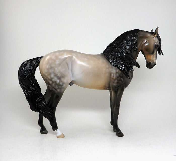 ready set show buckskin andalusian