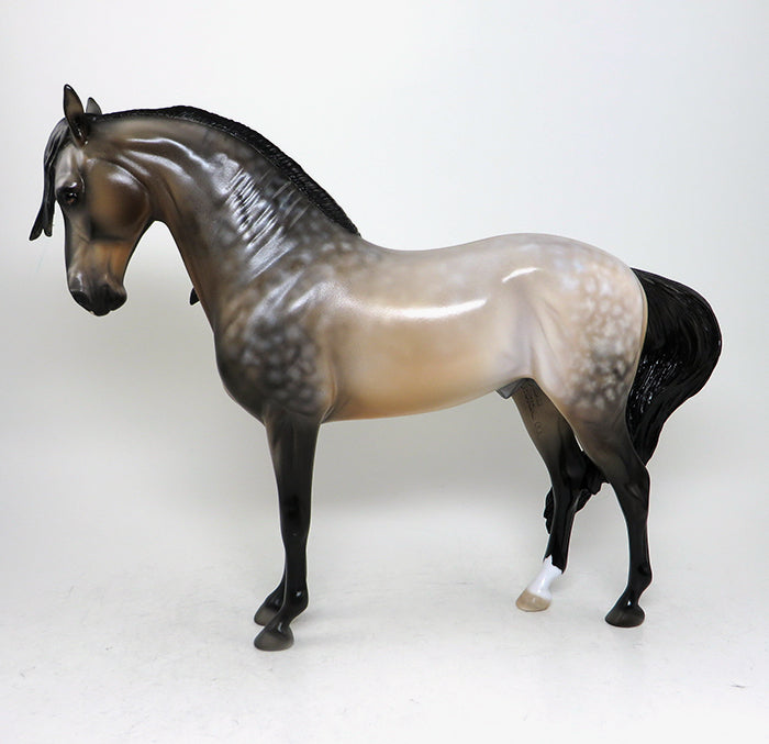 READY SET SHOW-OOAK STAR DAPPLE BUCKSKIN ANDALUSIAN STALLION MODEL HORSE 5/13