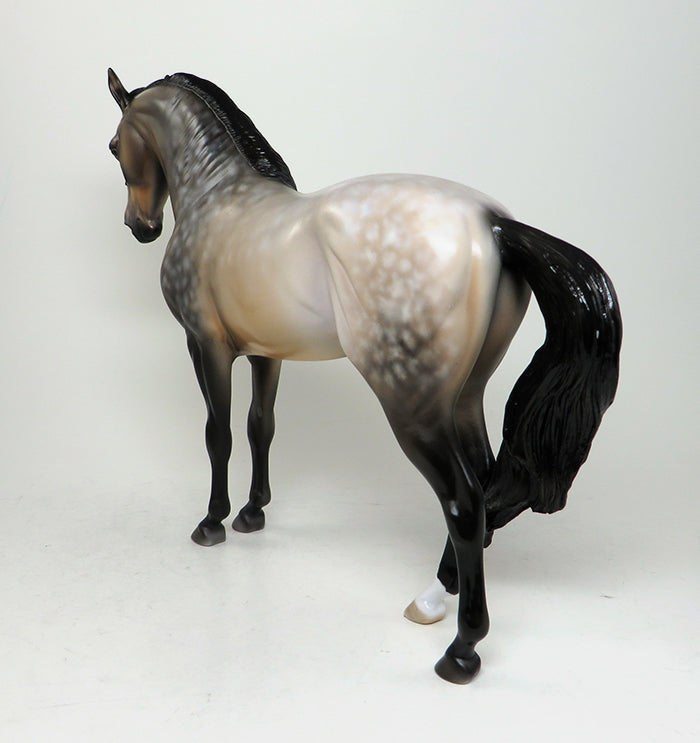 READY SET SHOW-OOAK STAR DAPPLE BUCKSKIN ANDALUSIAN STALLION MODEL HORSE 5/13
