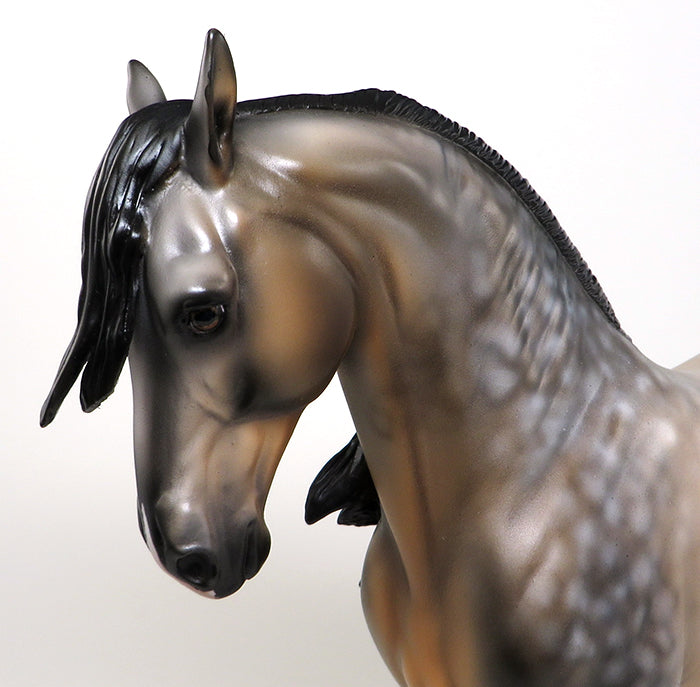 READY SET SHOW-OOAK STAR DAPPLE BUCKSKIN ANDALUSIAN STALLION MODEL HORSE 5/13