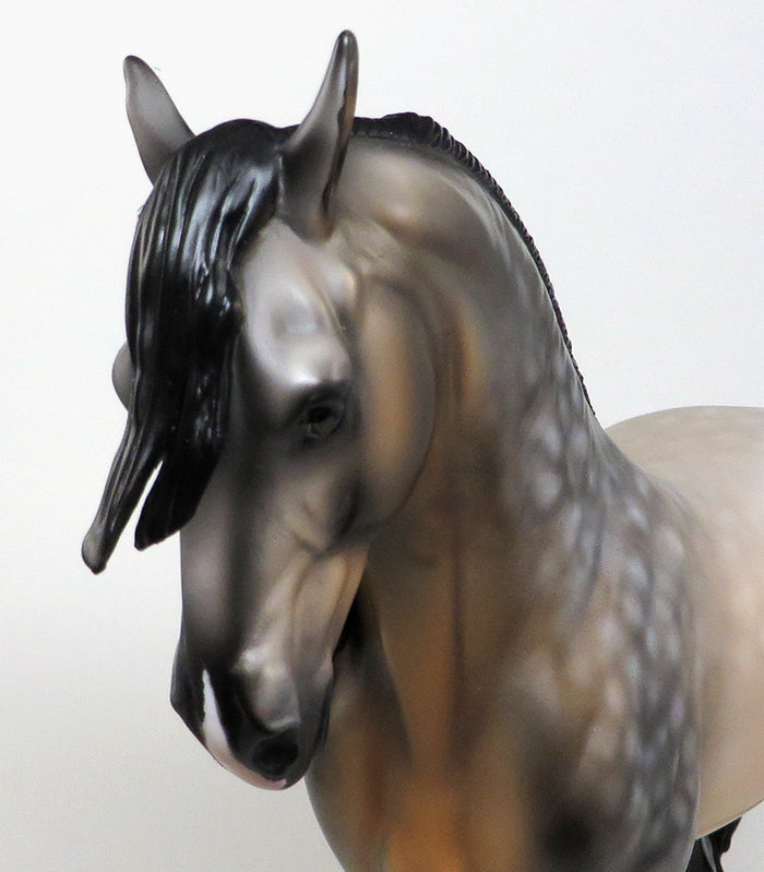READY SET SHOW-OOAK STAR DAPPLE BUCKSKIN ANDALUSIAN STALLION MODEL HORSE 5/13