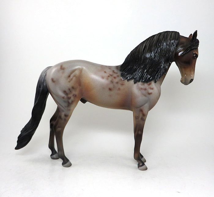 Bay roan showtime