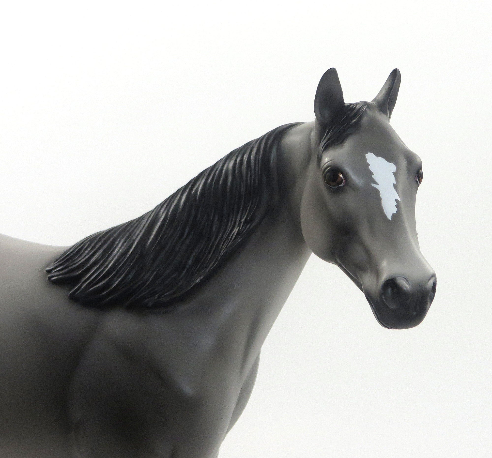 SEE ME SPOTS- LE3 EQ 2015 Grey Appaloosa Stock Horse