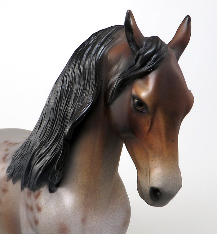 SHOW TIME-OOAK BAY ROAN LONG MANE ANDALUSIAN STALLION MODEL HORSE 5/13