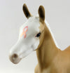filly